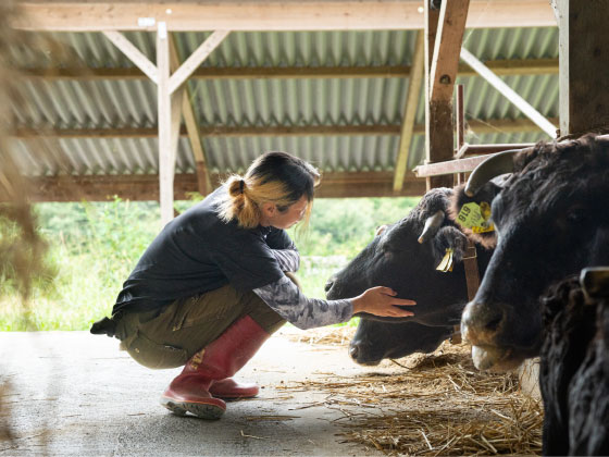 SDGs飼料「エコフィード」